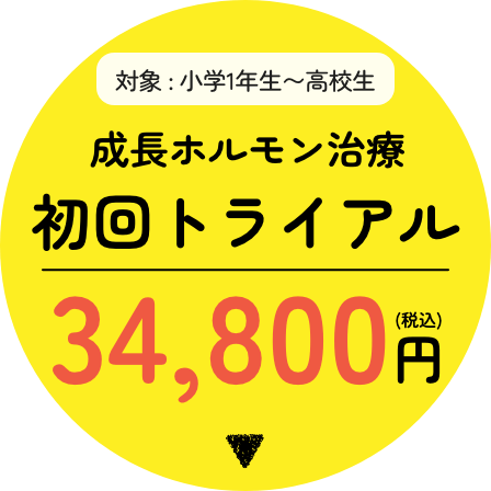 初回トライアル